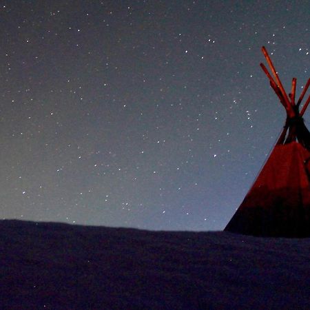 Lofoten Camp 스탐순드 외부 사진