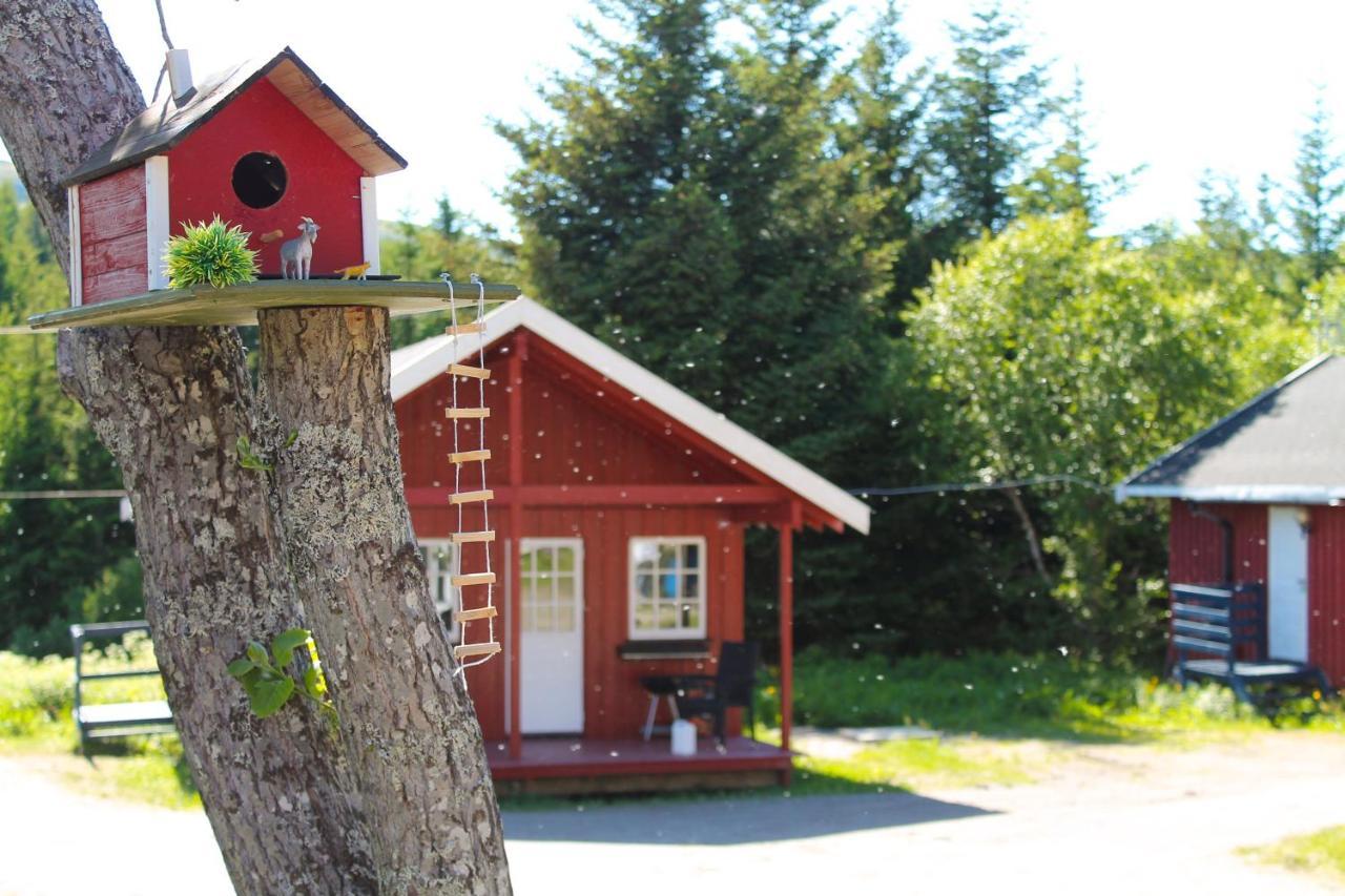 Lofoten Camp 스탐순드 외부 사진
