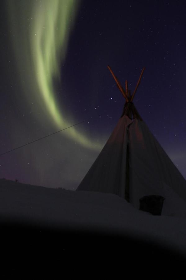 Lofoten Camp 스탐순드 외부 사진