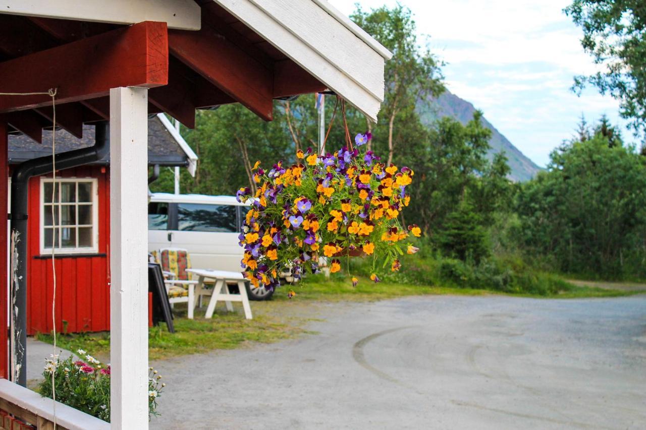 Lofoten Camp 스탐순드 외부 사진